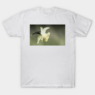 Daffodil T-Shirt